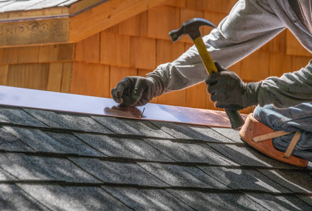 Best Roof Coating and Sealing  in Fridley, MN