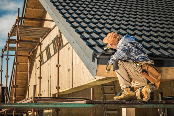 Best Chimney Flashing Repair  in Fridley, MN