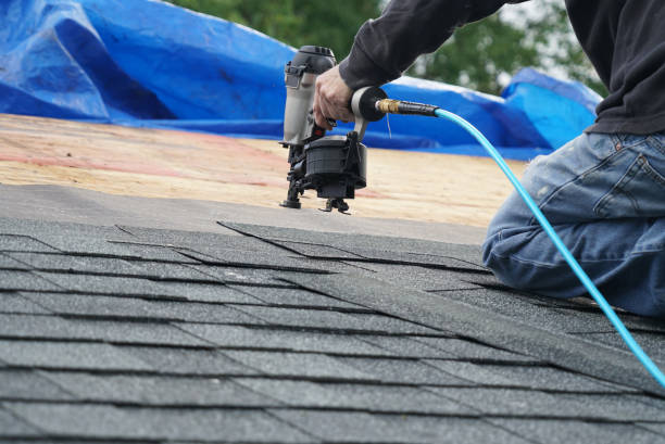 Best Roof Coating Services  in Fridley, MN
